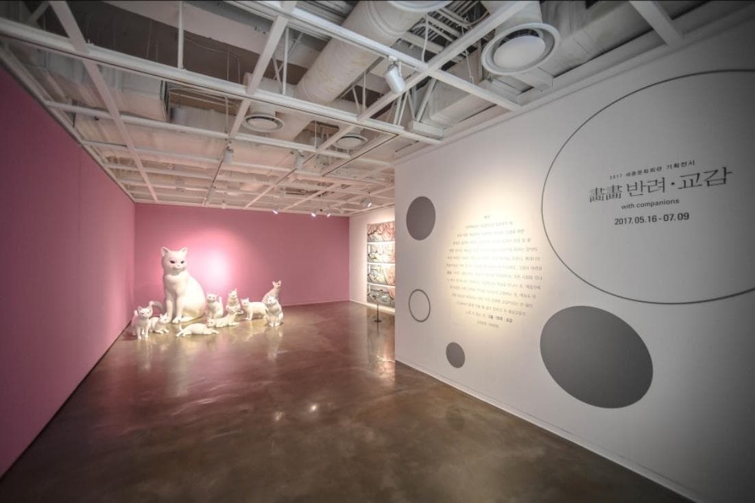 畵畵 - 반려교감